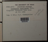 Image Associated With the Occurence